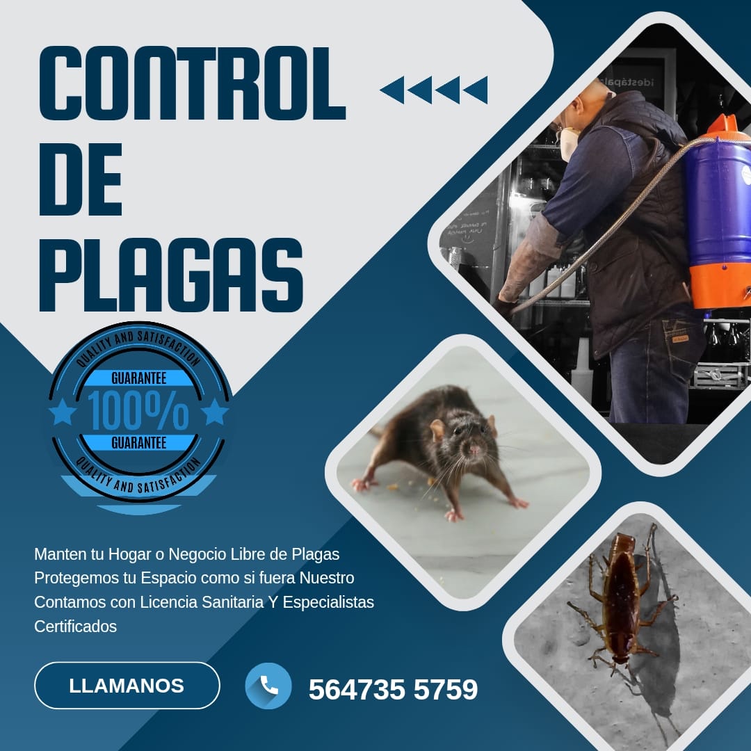 Diseño promocional de control de plagas