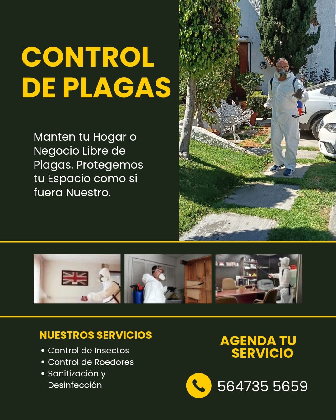 Promocional de control de plagas