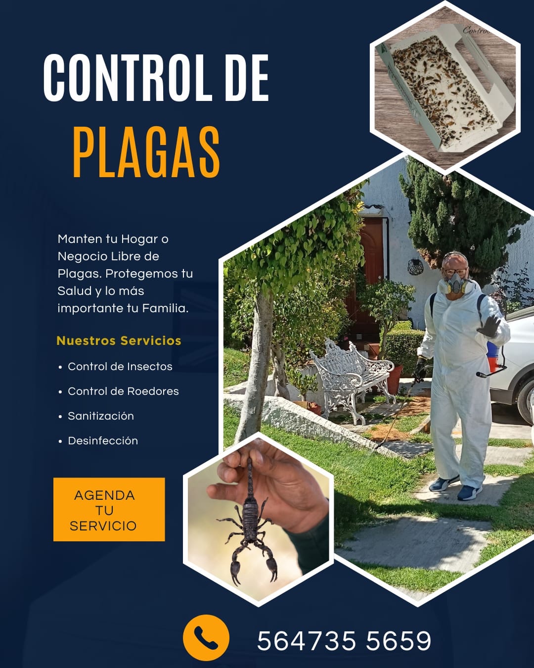 Promocional con servicios visuales