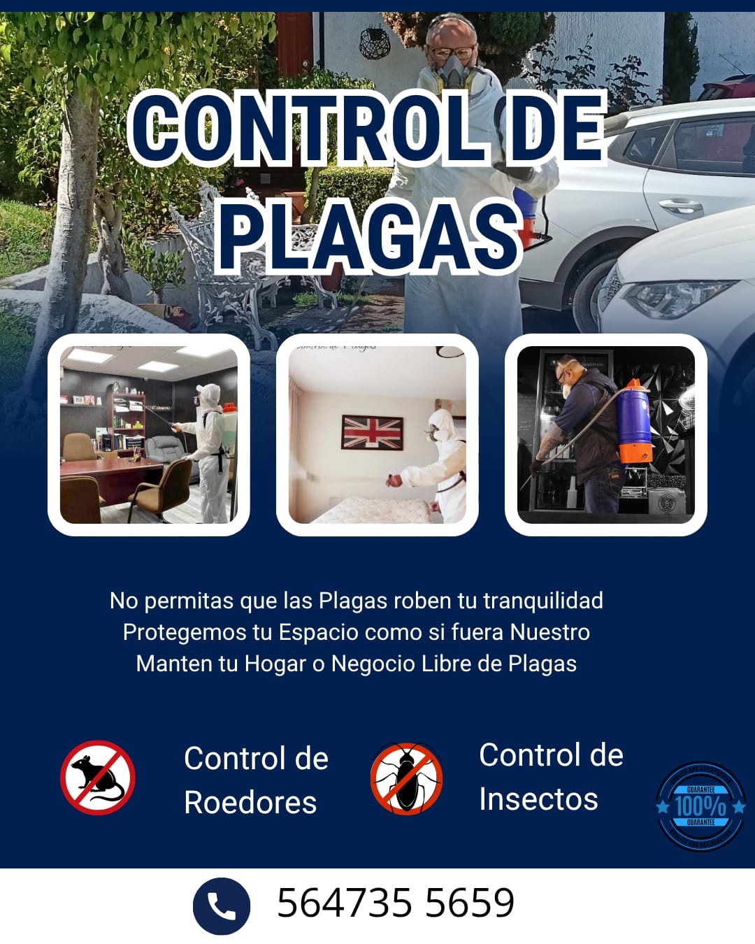 Diseño promocional de ALMECH Control de Plagas